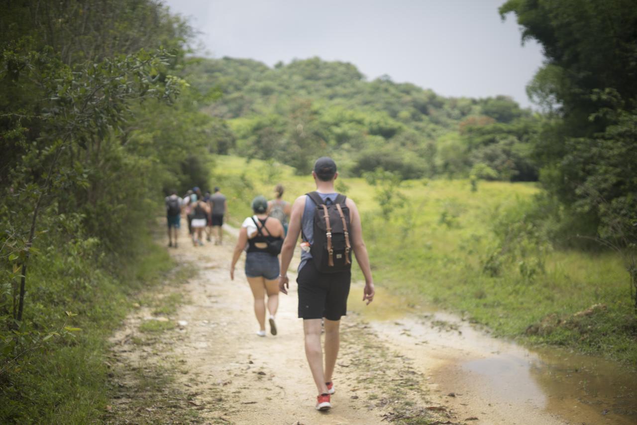 네그릴 Zimbali Culinary Retreats 빌라 외부 사진