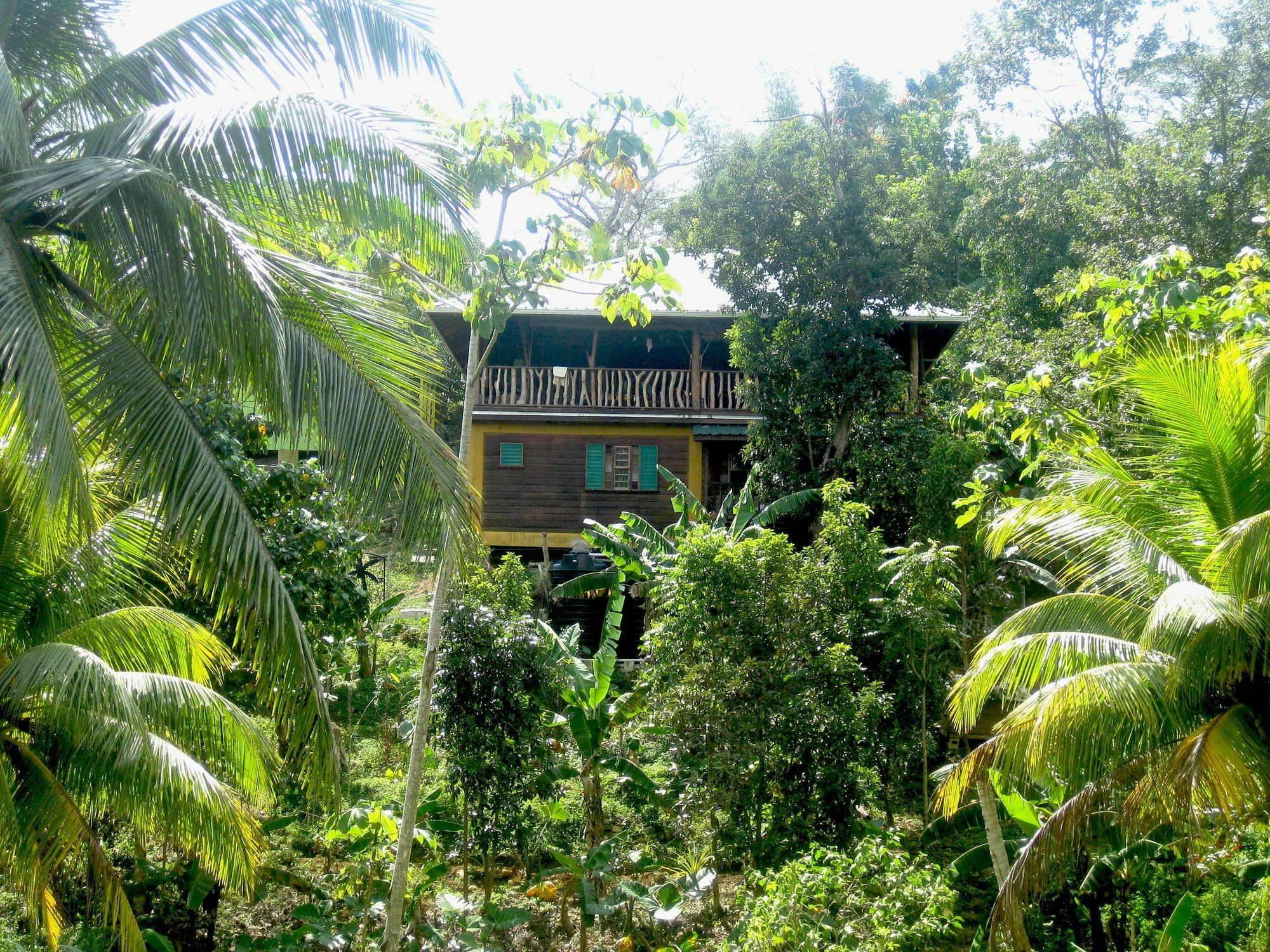네그릴 Zimbali Culinary Retreats 빌라 외부 사진