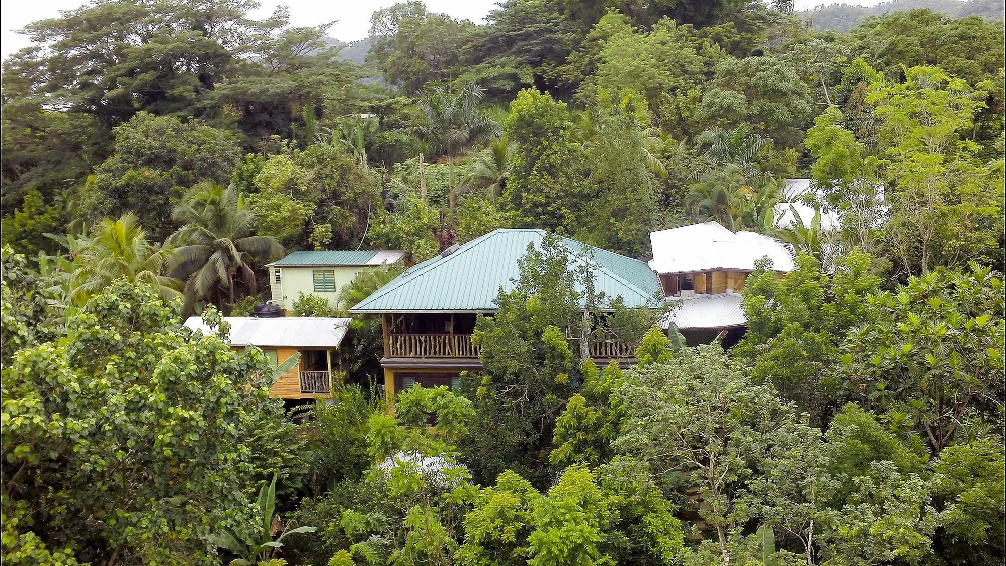 네그릴 Zimbali Culinary Retreats 빌라 외부 사진